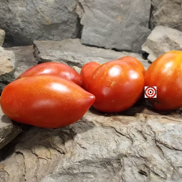 Inciardi Paste Tomato