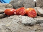 Inciardi Paste Tomato Seeds.