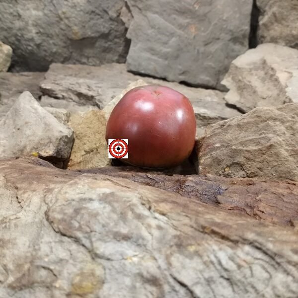 Indische Fleisch Tomato