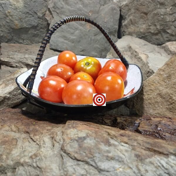 Jersey Sunrise Tomato