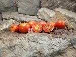Jersey Sunrise Tomato Seeds