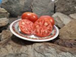 John Baer Tomato
