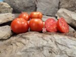Just Plain Good Tomato