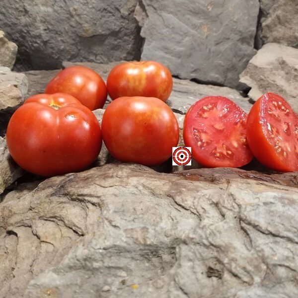 Just Plain Good Tomato