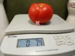 Just Plain Good Tomato Red Tomatoes