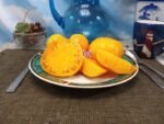 Kentucky Beefsteak Tomato