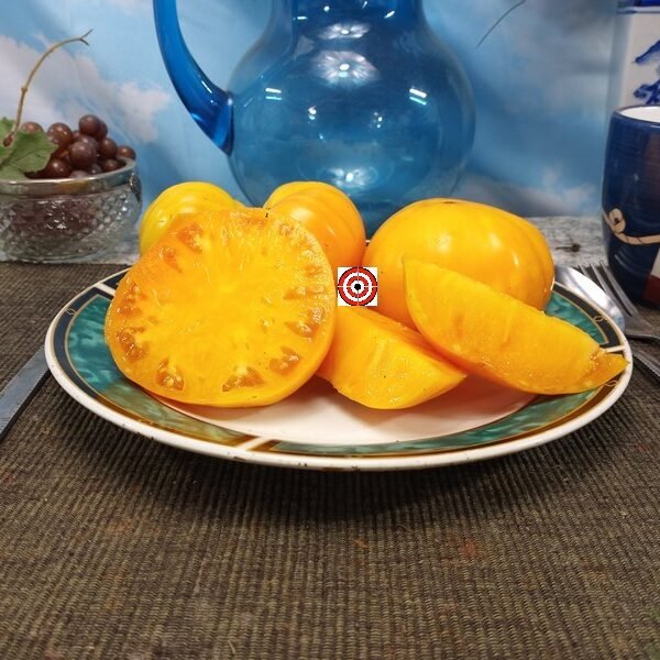 Kentucky Beefsteak Tomato