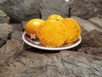 Kentucky Beefsteak Tomato Rare Tomatoes