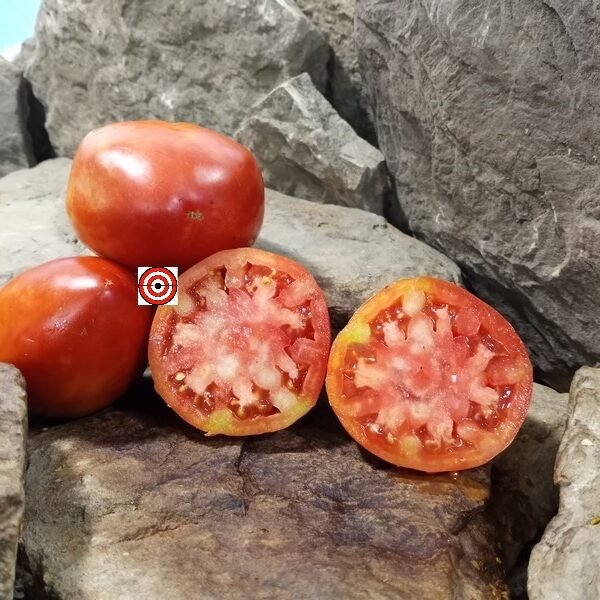 Killo Nelle Tomato