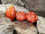 Killo Nelle Tomato Rare Tomatoes