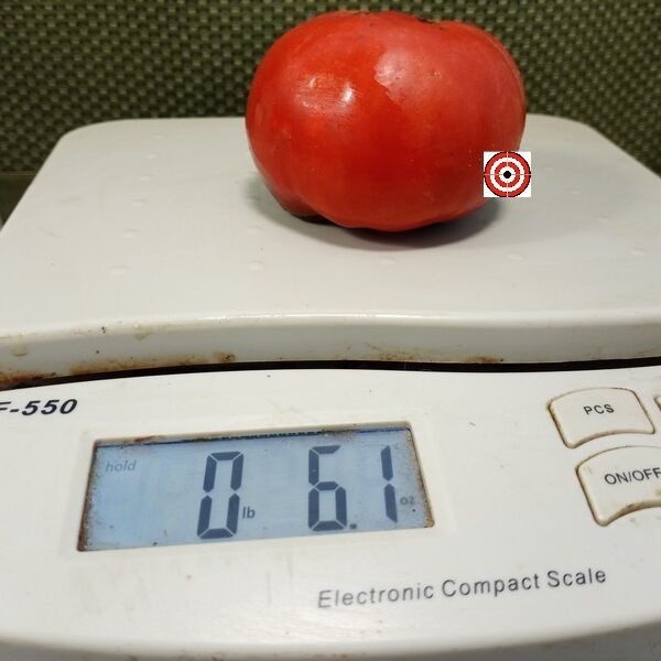 King of Giants Tomato