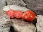 King of Giants Tomato Heirloom Tomatoes