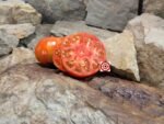 King of Kings Tomato