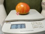 King of Kings Tomato Seeds