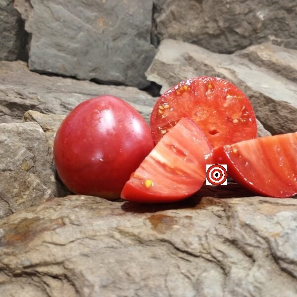 King of London Tomato