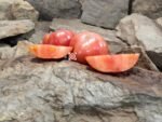 Konan's Big Stock Pink Tomato Seeds