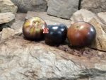 La Cadero Tomato