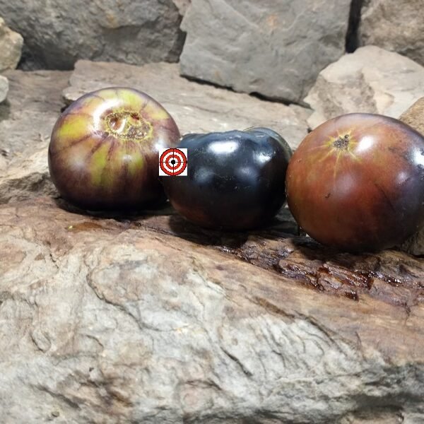 La Cadero Tomato