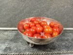 Lady Bug F2 Tomato Red Tomatoes