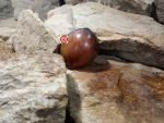 Leprechaun Gosha Heart Tomato