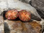 Leprechaun Gosha Heart Tomato Rare Tomatoes