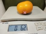 Limmony Tomato