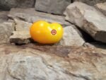 Limmony Tomato Beefsteak Tomatoes