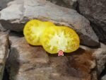 Limmony Tomato Heirloom Tomatoes