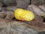 Limmony Tomato Seeds