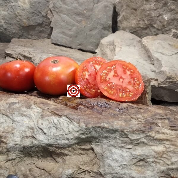 Livingston's Favorite Tomato