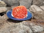 Livingston's Giant Oxheart Tomato Seeds