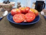 Livingston's Gulf State Market Place Tomato