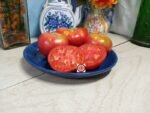 Livingston's Gulf State Market Place Tomato Seeds