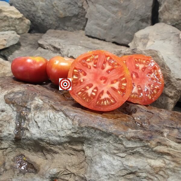 Livingston's Main Crop Pink Tomato