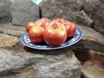 Livingston's Rosy Morn Tomato