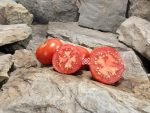 Livingston's State Tomato