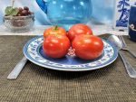 Livingston's State Tomato - Image 3