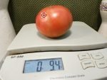 Lloyd Brown Tomato Large Tomatoes