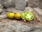 Lucinda Tomato