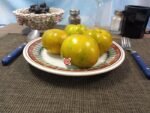 Lucinda Tomato Green Tomatoes
