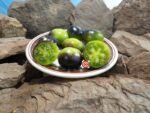 Marchenwald PL Tomato