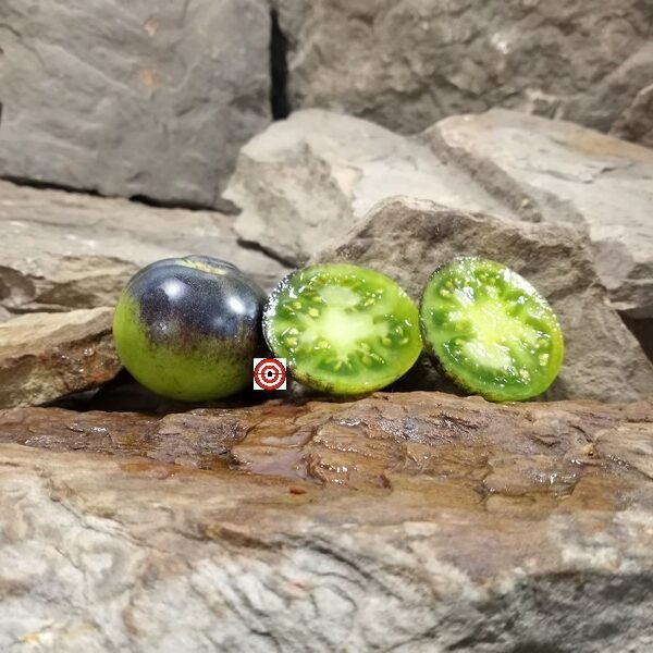 Marchenwald RL Tomato