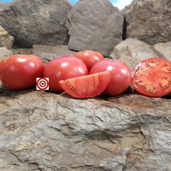 Marhio's Livingstons Marvelous Tomato