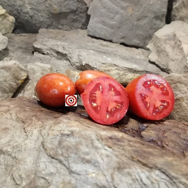 Mariana Tomato