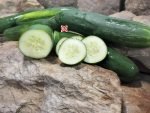 Market More76 Cucumber - Image 4