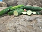 Market More76 Cucumber - Image 7