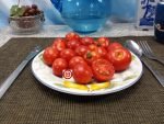 Marz Pulcent Tomato Multiflora Tomato