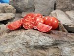 Mcghana Red Tomato