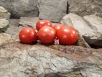 Mcghana Red Tomato Seeds