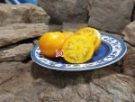 Miam Nipa Tomato Rare Tomatoes